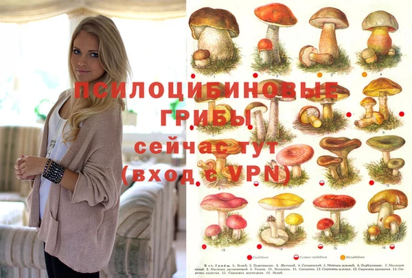 сатива Алексеевка