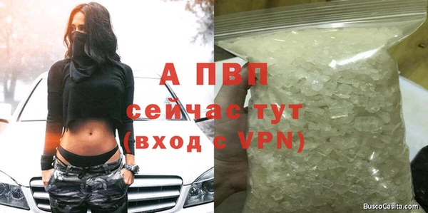 сатива Алексеевка