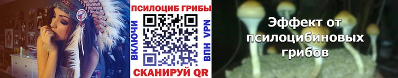 Галлюциногенные грибы Psilocybine cubensis гидра рабочий сайт Апатиты продажа наркотиков