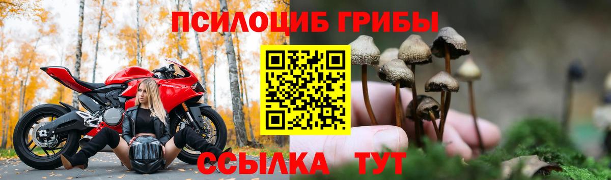 Апатиты  Псилоцибиновые грибы мухоморы  Вход с VPN 