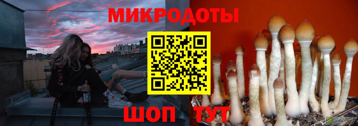 Галлюциногенные грибы мицелий Апатиты